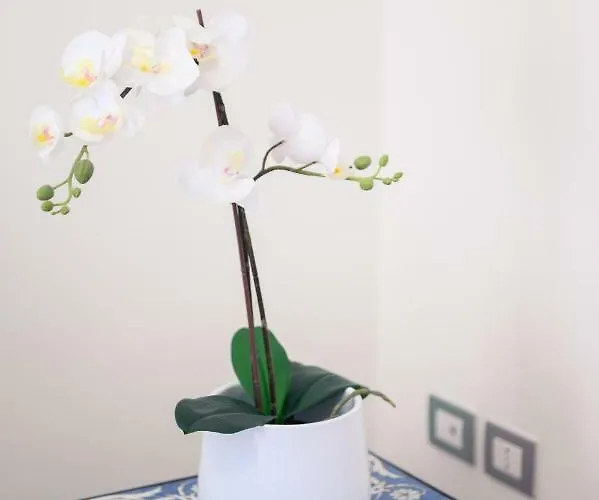 Glam House * ساليرنو